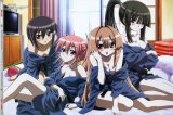 BUY NEW seto no hanayome - 142095 Premium Anime Print Poster